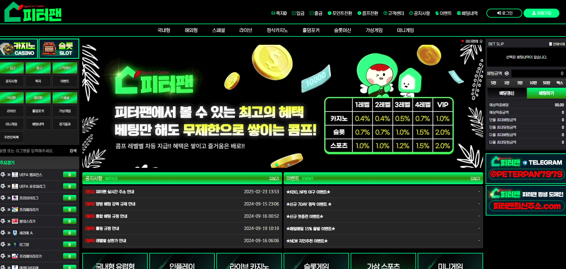 피터팬.png