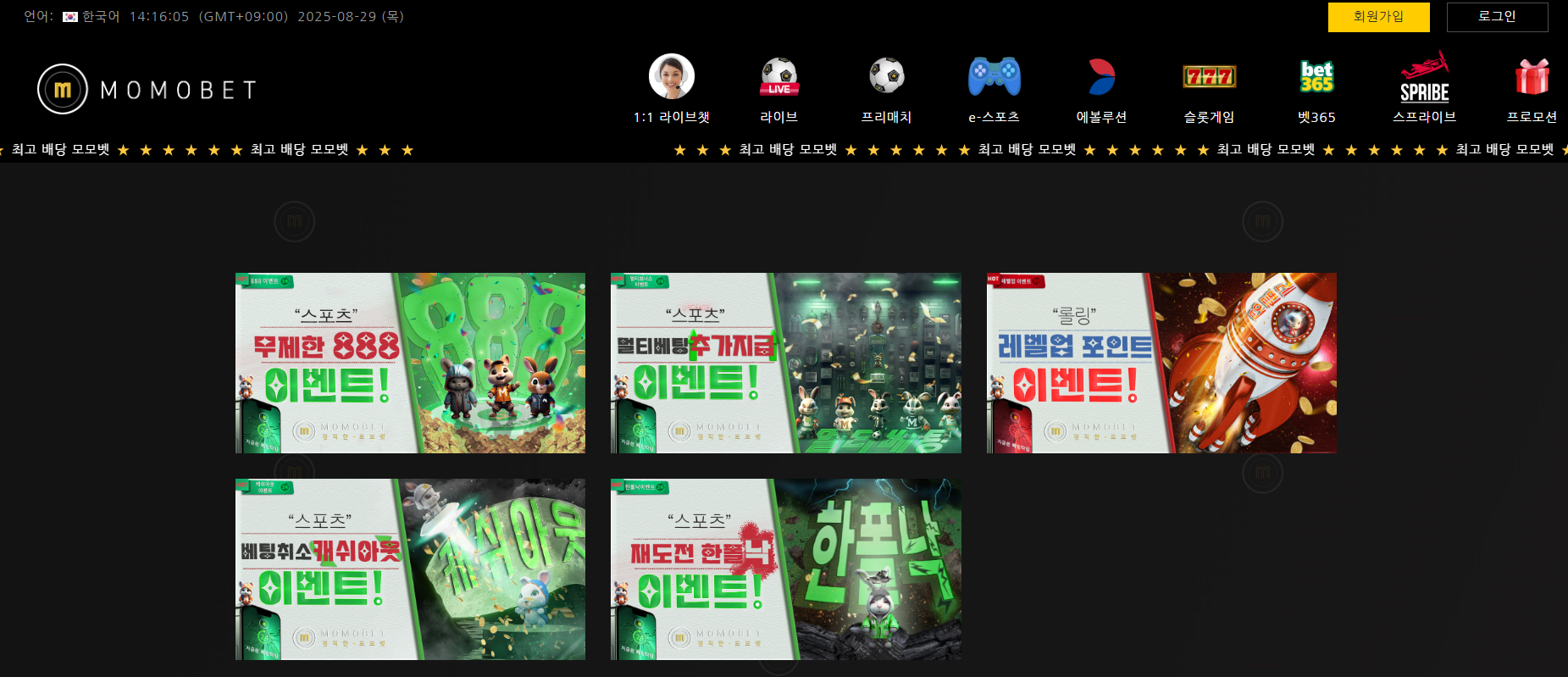 모모벳.png
