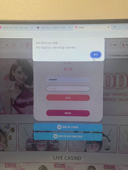 모델카지노2.jpg